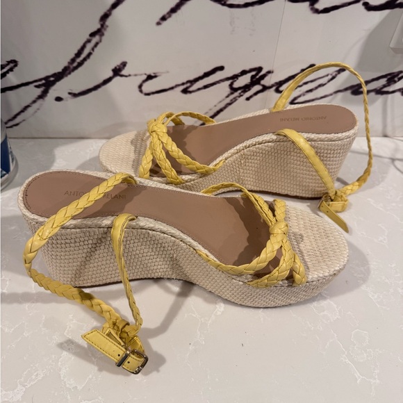 ANTONIO MELANI Shoes - Antonio Melani Lorinna Leather Braided Platform Wedge Sandals Women’s Size 11